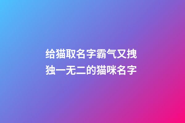 给猫取名字霸气又拽 独一无二的猫咪名字